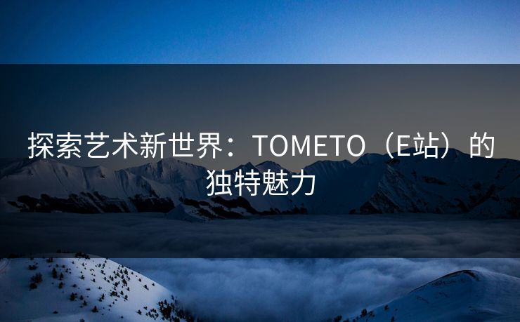 探索艺术新世界：TOMETO（E站）的独特魅力