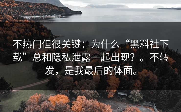不热门但很关键：为什么“黑料社下载”总和隐私泄露一起出现？。不转发，是我最后的体面。