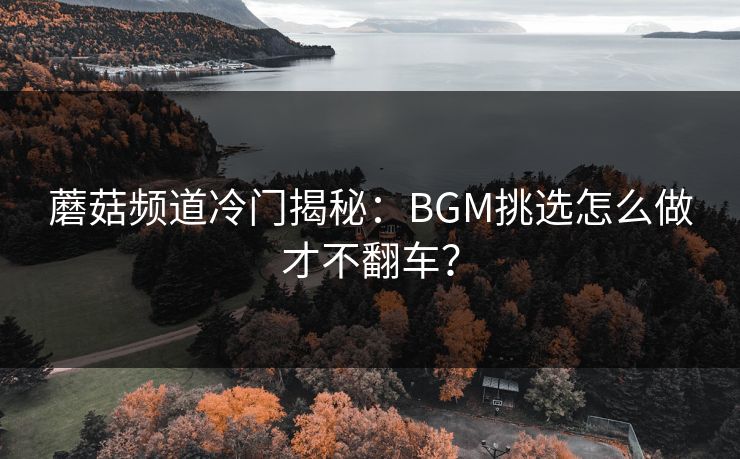 蘑菇频道冷门揭秘：BGM挑选怎么做才不翻车？